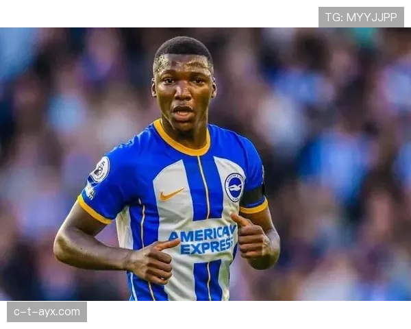 布莱顿与凯塞多成功续约，合作延续至2028年引关注